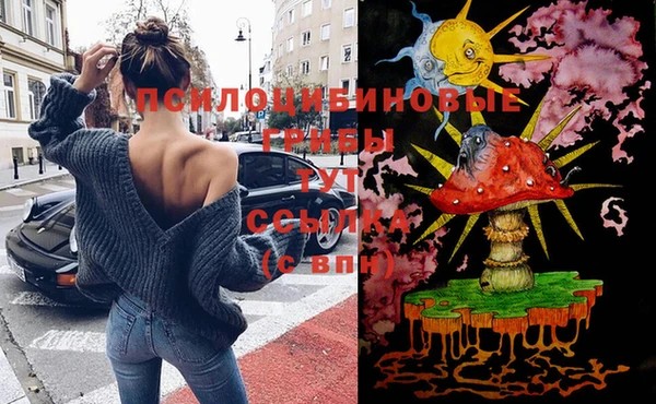 герыч Корсаков