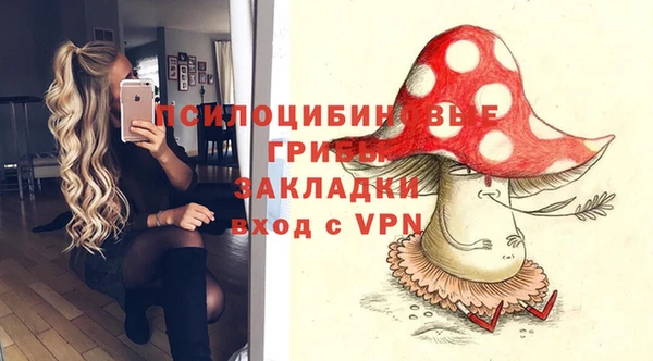 соль курить ск Липки